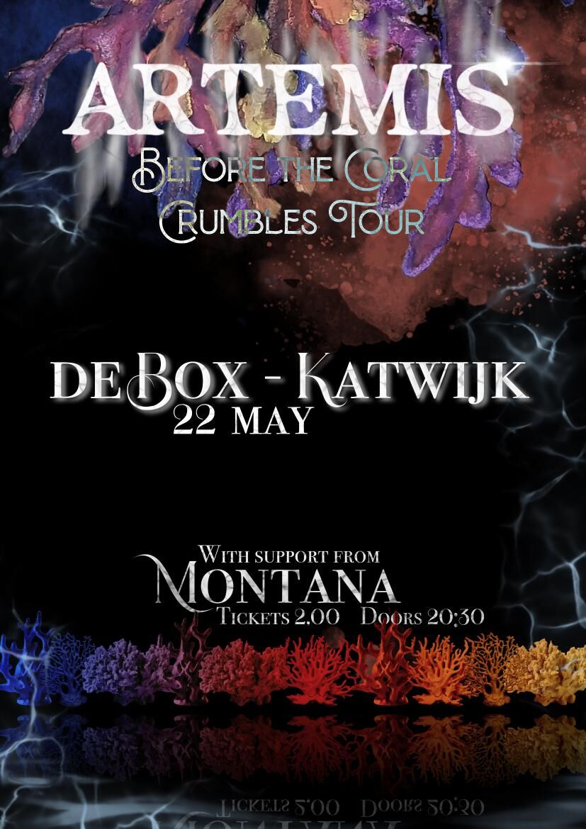 Show poster, De Box Katwijk