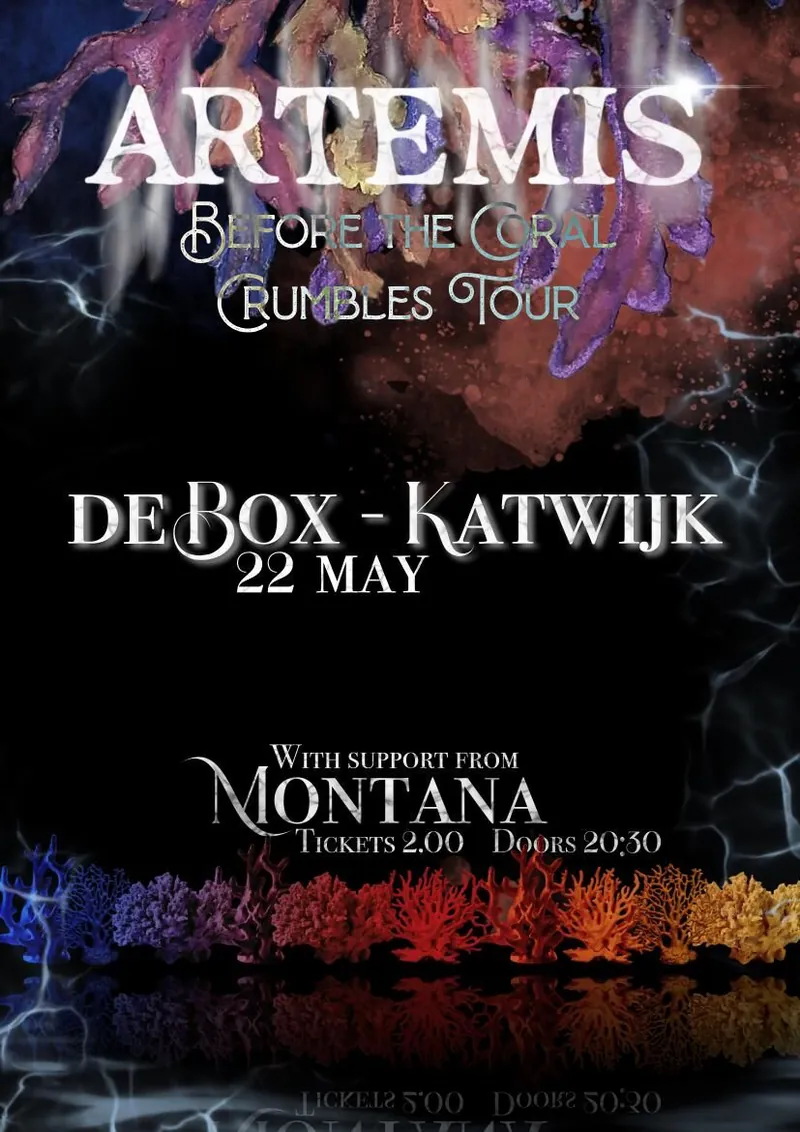 Showposter, De Box Katwijk